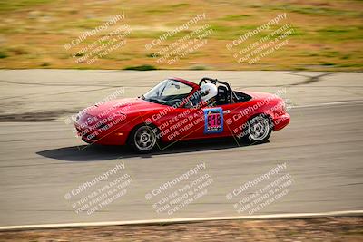 media/Feb-17-2024-Extreme Speed (Sat) [[f2f02d613c]]/Green Group/Session 3 (Turn 4)/